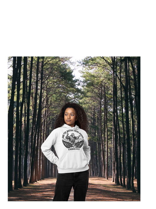 Exodus 14:21 Hoodie